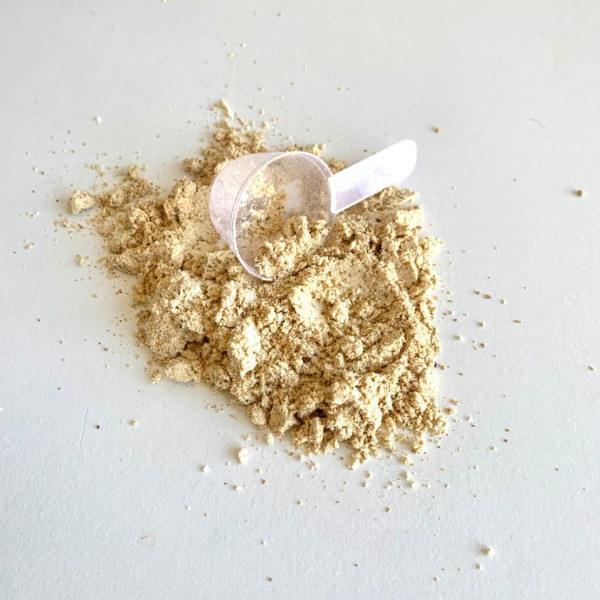 Dog Protein Filhote – 500g