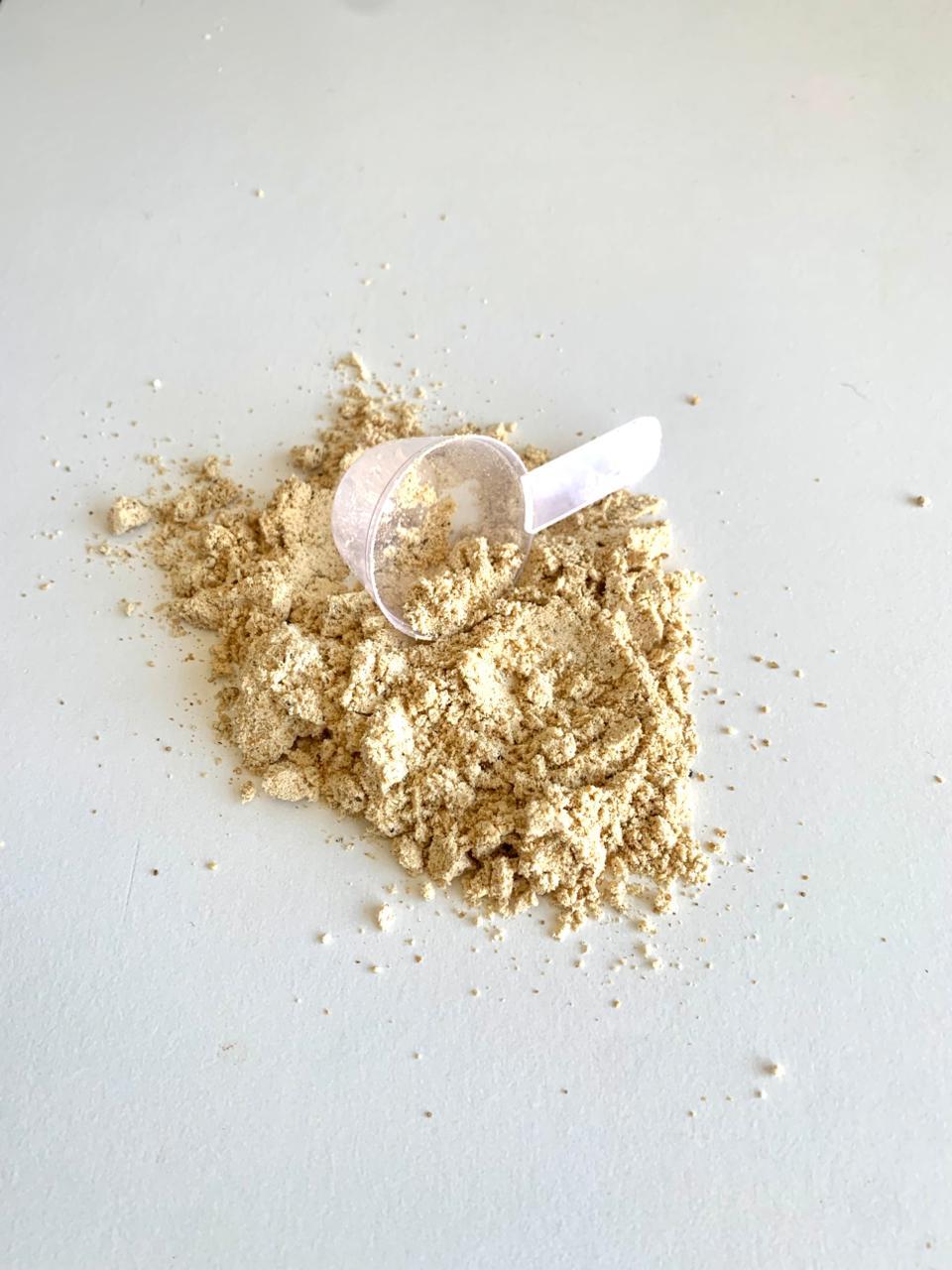 Dog Protein Adulto – 900g 