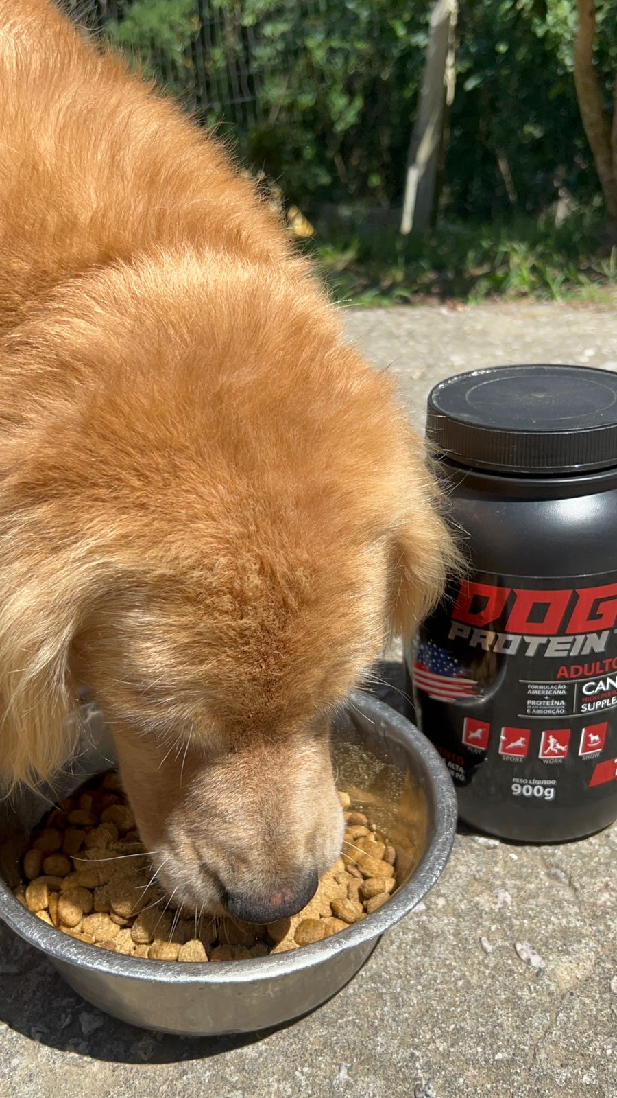 Dog Protein Adulto – 900g 